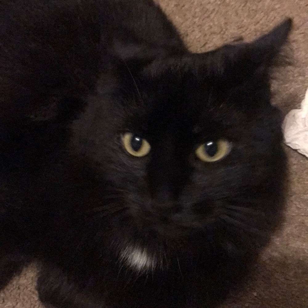 Meet your Posher, Megan